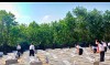 Các học sinh viếng hương nghĩa trang liệt sỹ tại địa phương